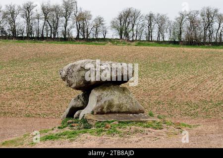 The Devil's den, die Überreste einer neolithischen Grabkammer (oder Dolmen) auf Fyfield Down, Wiltshire. Stockfoto