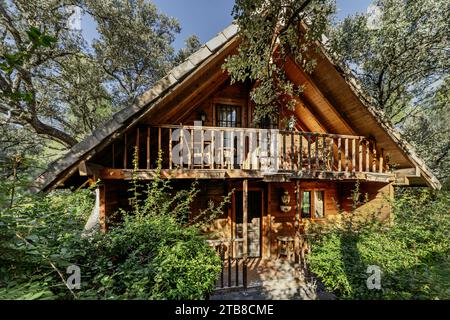 Holzhütte mitten in einem Bereich mit großen Bäumen Stockfoto