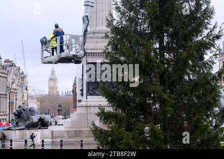 Trafalgar Square, London, Großbritannien. Dezember 2023. Platzierung der Dekoration und des Sterns, während der Baum auf dem Trafalgar Square installiert wird. Quelle: Matthew Chattle/Alamy Live News Stockfoto