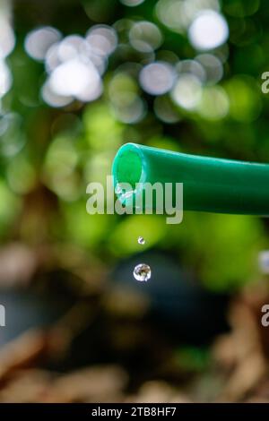 Wasser tropft aus grünem Gummischlauch im Garten. Wassersparkonzept Stockfoto