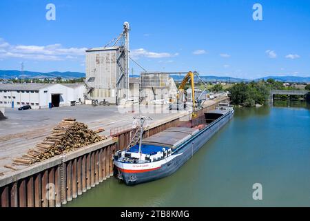 Villefranche-sur-Saone (Zentralfrankreich): Schiffsumschlag im Flusshafen. Entladung von 910 Tonnen Blech aus dem Lastkahn „l'itinerant“ Stockfoto