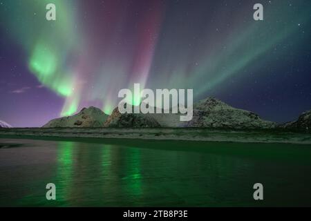 Grüne und rote Nordlichter über schneebedeckten Bergen in Lofoten spiegeln sich im Meer Stockfoto