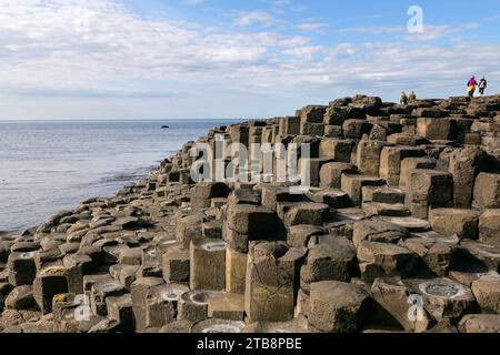 Nordirland, County Antrim: Der Giant's Causeway, 1986 von der UNESCO zum Weltkulturerbe erklärt. Es handelt sich um eine Fläche von etwa 40.000 Stellwerken Stockfoto