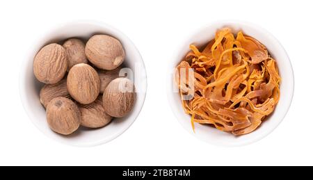 Getrocknete echte Muskatnüsse und Muskatblüten in weißen Schüsseln. Ganze Samen von Myristica-Duftstoffen und die Samenüberzüge von Muskatnusskernen mit gelber und orangener Bräune. Stockfoto