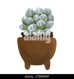 Botanische Illustration eines Sukkulenten in einem Topf. Haworthia isoliert auf weißem Hintergrund. Transparenter handgezeichneter Sukkulent für Hochzeitsdesign Stockfoto