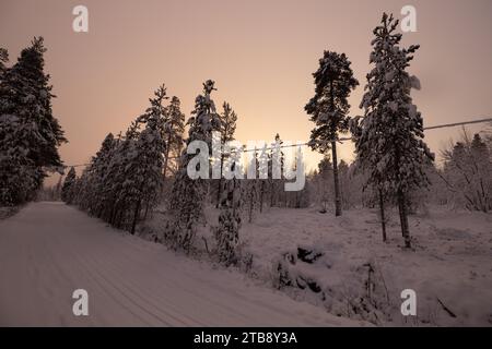 Ein malerischer Winterweg gesäumt von hohen Kiefern, bedeckt mit einer unberührten Schneedecke in Lappland, Finnland Stockfoto