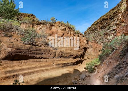 Fantastischer orangener Canyon oder george, Barranco de las Vacas, Gran Canaria, Kanarische Inseln, Spanien Stockfoto