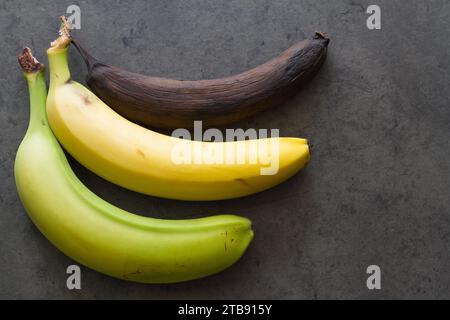 Grüne, gelbe und braune Banane auf dunklem Hintergrund, drei Reifegrade der Bananen, Konzept Stockfoto