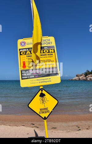 Surf lebensrettender Strandbericht mit gelber Flagge und Warnung vor Meeresbewohnern im Hintergrund, Alma Bay, Magnetic Island, aus Stockfoto