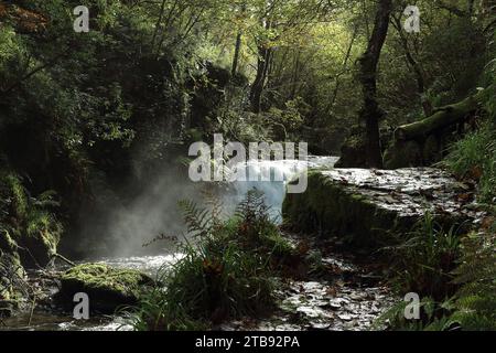 Waldweg am Fluss. Schnell fließender Fluss, der ein felsiges Tal hinunterstürzt und Weißwasser und Sprühnebel produziert. Sonnenlicht auf dem Herbstspaziergang zum Wohlfühlen Stockfoto