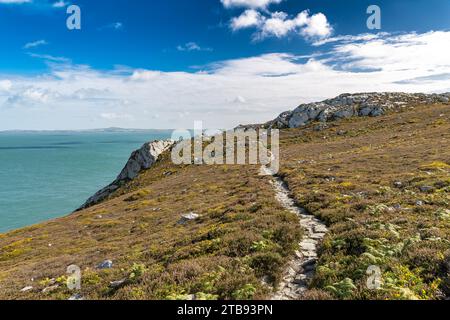 Gehen Sie vom Holyhead Breakwater Country Park nach North Stack, Isle of Anglesey, Wales, Großbritannien Stockfoto