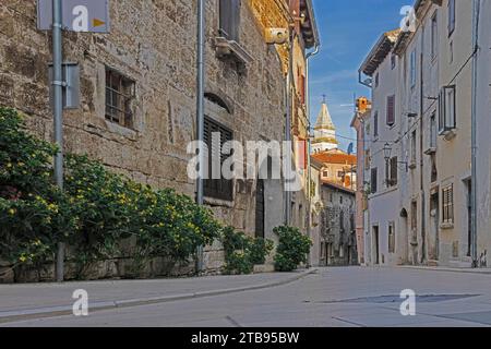 Bild einer typischen Straßenszene aus der historischen kroatischen Stadt Voznjan mit Kopfsteinpflasterstraßen und alten Gebäuden im Morgenlicht Stockfoto