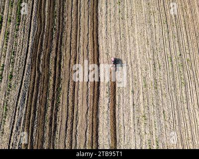 Luftaufnahme des Traktors, der das landwirtschaftliche Feld pflügt Stockfoto