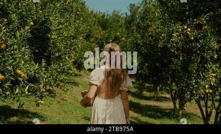 Eine fröhliche Farmerin im Kleid erntet Mandarinen Stockfoto