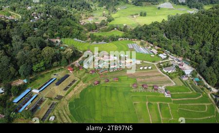 Grüne Reisfelder zwischen Bergen mit Mae Klang Luang Dorf auf Doi Inthanon Chiang Mai, Nord-Thailand, Asien Stockfoto