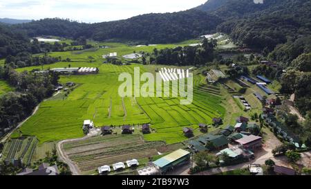 Grüne Reisfelder zwischen Bergen mit Mae Klang Luang Dorf auf Doi Inthanon Chiang Mai, Nord-Thailand, Asien Stockfoto