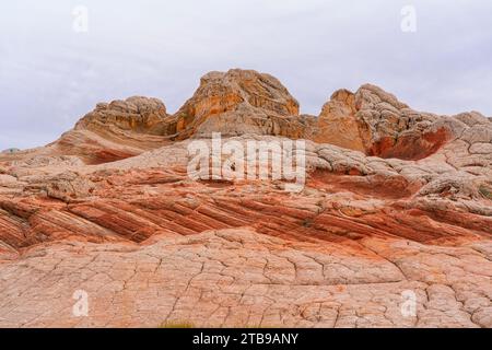 Riesige Navajo Sandsteinformationen, die als Brain Rocks unter einem bewölkten Himmel bezeichnet werden, in der wunderbaren Gegend von White Pocket mit ihren außerirdischen Landschaften... Stockfoto