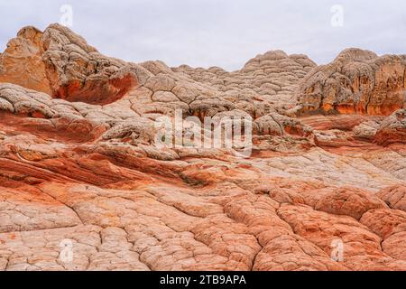 Riesige Navajo Sandsteinformationen, die als Brain Rocks unter einem bewölkten Himmel bezeichnet werden, in der wunderbaren Gegend von White Pocket mit ihren außerirdischen Landschaften... Stockfoto