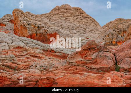 Nahaufnahme der Navajo Sandsteinformationen, die als Brain Rocks bezeichnet werden, unter einem bewölkten Himmel in der wunderbaren Gegend von White Pocket mit ihren Alien... Stockfoto