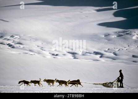 Dogsledder reist über den Schnee auf dem Ruth Glacier im Denali National Park and Preserve; Alaska, USA Stockfoto