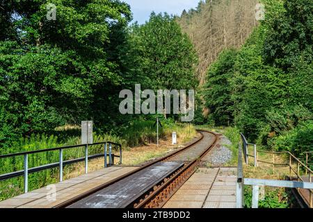 Bahnhaltestelle auf einer eingleisigen Bahn im Wald an einem sonnigen Sommertag. Stockfoto