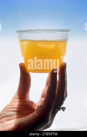 Die Hand der Frau hält eine Portion Orangensaft in einem Flugzeug; Phoenix, Arizona, Vereinigte Staaten von Amerika Stockfoto