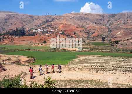 Betsileo-Frauen mit Kindern, die durch das Feld zu ihrem Dorf in der Haute Matsiatra Region, Central Highlands, Madagaskar, Afrika Stockfoto