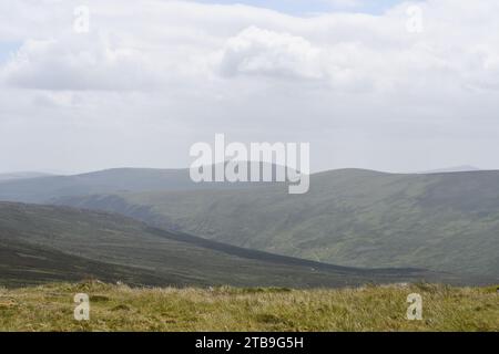 Turlough Hill, Wicklow Mountains, Irland Stockfoto