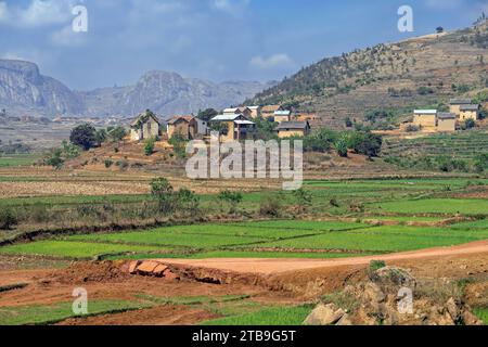 Betsileo ländliches Dorf auf Hügeln und Reisfeldern in der Haute Matsiatra Region, Central Highlands, Madagaskar, Afrika Stockfoto