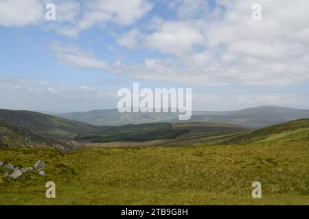 Turlough Hill, Wicklow Mountains, Irland Stockfoto