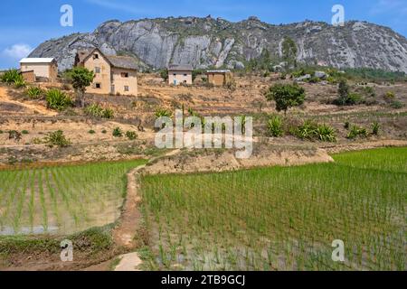 Betsileo ländliches Dorf auf Hügeln und Reisfeldern in der Haute Matsiatra Region, Central Highlands, Madagaskar, Afrika Stockfoto