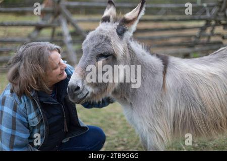 Eine Farmerin, die mit einem Esel (Equus asinus) auf ihrer Farm, Kara's Animals in Beckwith, Ottawa Valley, Ontario, Kanada, kommuniziert Stockfoto