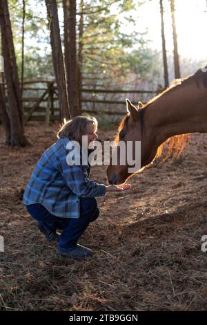 Frau, die eine Bucht pflegt, Pferd (Equus ferus caballus) auf ihrer Farm, Karas Tiere in Beckwith; Ottawa Valley, Ontario, Kanada Stockfoto
