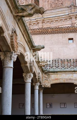 Innenhof in der biblioteca casa de las conchas Salamanca, Spanien Stockfoto