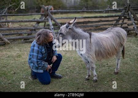 Eine Farmerin, die mit einem Esel (Equus asinus) auf ihrer Farm, Kara's Animals in Beckwith, Ottawa Valley, Ontario, Kanada, kommuniziert Stockfoto