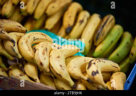 Aus nächster Nähe sehen Sie die Bananen auf dem Straßenmarkt, Panama-Stadt, Republik Panama, Zentralamerika Stockfoto