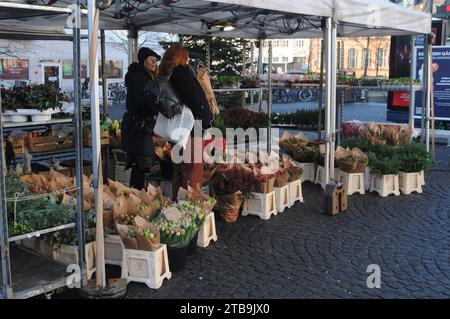 Kopenhagen, Dänemark /05 Dezember 2023/. Blumensträuße gibt es bei einem Händler in der dänischen Hauptstadt Kopenhagen. (Photo.Francis Joseph Dean/Dean Pictures) Stockfoto