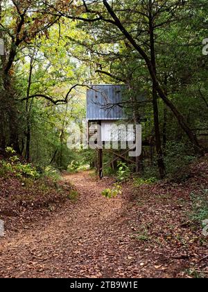 Kleine Hütte im Wald über einem trockenen Bachbett Stockfoto