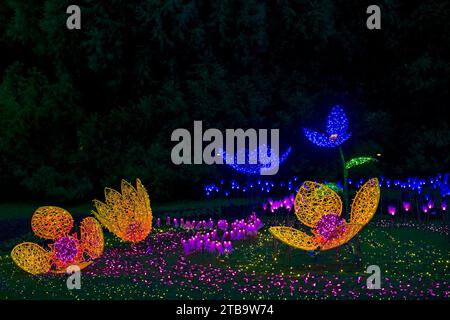 Flowers of Light, Festival of Lights, VanDusen Botanical Garden, Vancouver, British Columbia, Kanada Stockfoto