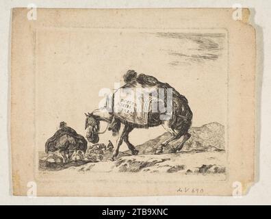 Platte 1: Ein Rudelpferd, aus „verschiedene Tiere“ (Diversi animali) 1986 von Stefano della Bella Stockfoto