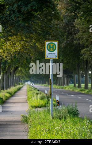 Öffentliche Verkehrsmittel halten an Land, Niederrhein, Elendshof bei Kalkar-Grieth, Rheinuferstraße, 2 Betriebszeiten pro Schultag, Linie 48, auch Haltestelle für die Stockfoto