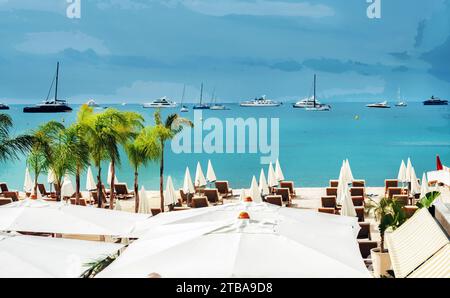 Idyllischer Blick auf den beeindruckenden Privatstrand und verankerte Motoryachten und Segelboote (schwarzer Katamaran) in der Bucht von Cannes. Strand mit weißem Sand und Palmen. Stockfoto