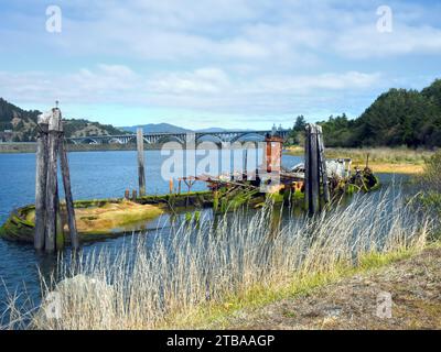 Die Mary D. Hume, ein historisches Dampfschiff, liegt im Rogue River nahe der Patterson Bridge in Gold Beach, Oregon. Das Schiffswrack ist Moos und Algen Stockfoto