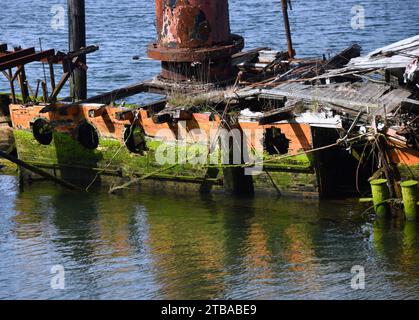 Schiffbrüchige Überreste der Mary D. Hume Schooner liegen im Rogue River, Gold Beach, Oregon. Die Seiten von Schooner zeigen einen kaputten po Stockfoto