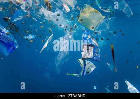 Junge Jungfischschule unter Wasser um Plastiktüten und Abfälle verschiedener Art in blauem Wasser vor Baucau in der Demokratischen Republik Timor-Leste. Stockfoto