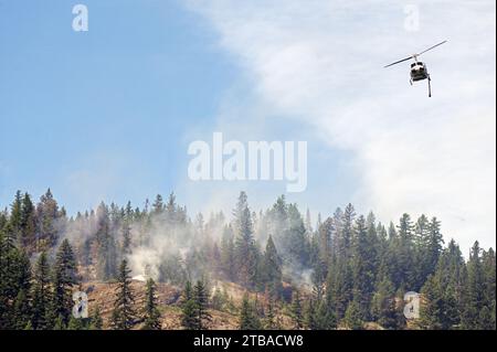 Minuteman Aviation Helikopter, der einen Waldbrand auf der Waper Ridge im Kootenai National Forest bekämpft. Purcell Mountains im Nordwesten von Montana. Stockfoto