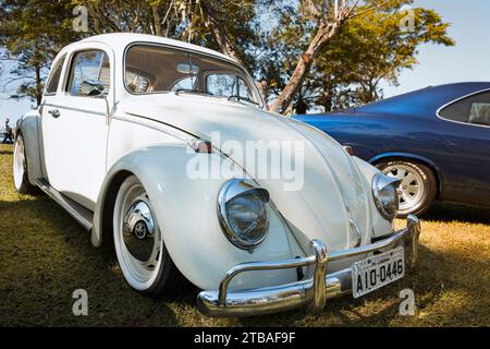 Volkswagen Beetle Fusca 1969 auf dem monatlichen Oldtimertreffen in Londrina, Brasilien. Stockfoto