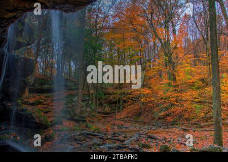 Blick auf die Lower Dundee Falls im Herbst, Beach City Wilderness Area, Ohio Stockfoto