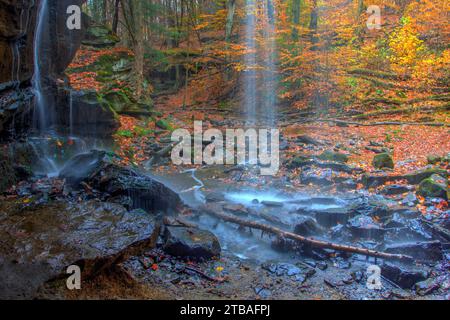 Blick auf die Lower Dundee Falls im Herbst, Beach City Wilderness Area, Ohio Stockfoto