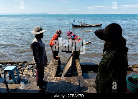 Frauen, die Krabbenfallen auf den Krabbenmarkt in Kep, Kambodscha, transportieren Stockfoto